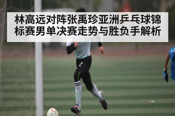 林高远对阵张禹珍亚洲乒乓球锦标赛男单决赛走势与胜负手解析